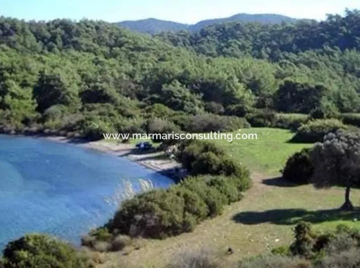 Seaside 4500M2 Suitable Land For Sale In Alavara Neighborhood Of Datça District