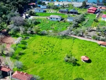 Land For Sale In Söğüt Village Of Marmaris District, 150 Meters To The Sea, 10000M2. It Can Be Used As A Camping Caravan Camping Area In The Tourism Area.